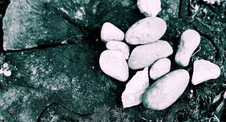 Sticks and Stones