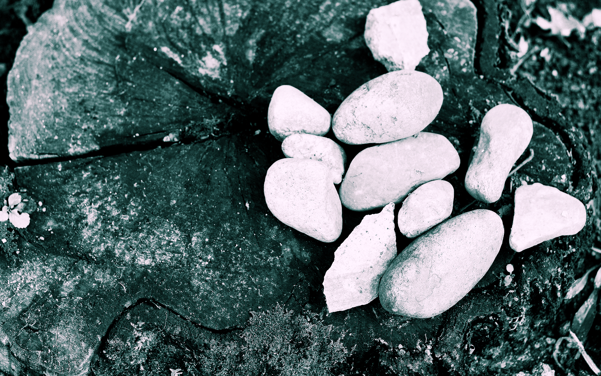 Sticks and Stones